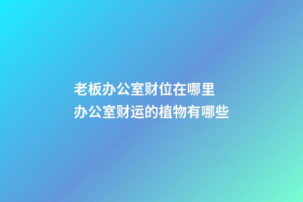 老板办公室财位在哪里  办公室财运的植物有哪些